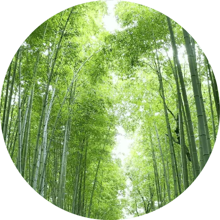 対話力向上研修