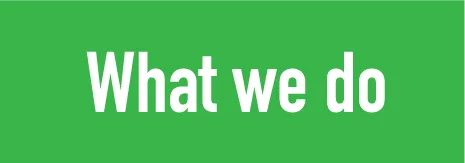 What we do